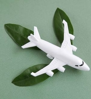 Sacrifier le transport aérien sur l'autel de l'écologie ?