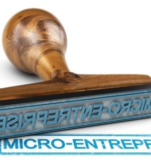 Quelles activités sont exclues de la micro-entreprise ?