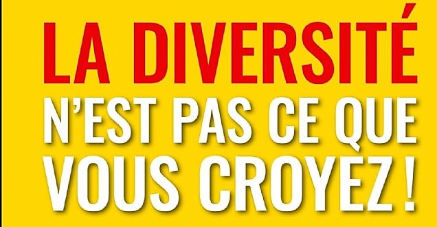 Olivier Sibony « On ne prend pas de bonnes décisions seul »