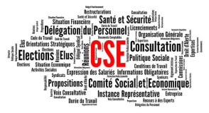 Comment se déroulent les réunions du CSE ?