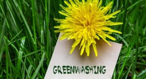 Qu'est-ce que le greenwashing ?