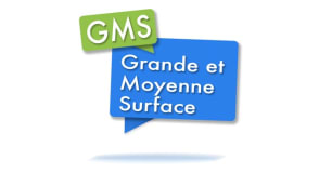 Comment différencier les grandes et moyennes surfaces (gms) ?