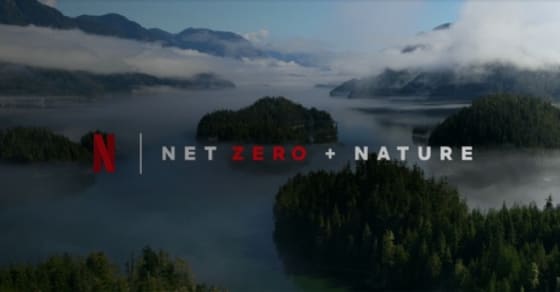 Netflix présente son plan 'Net Zéro carbone + Nature'