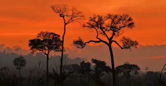 En août 2020, dans l'État de Para au Brésil, coucher de soleil sur fond de fumées provenant d'incendies illégaux. CARL DE SOUZA / AFP