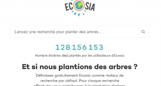 Les grands succès d'Ecosia à travers le monde