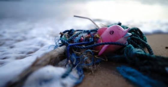 Courir en soutien à l'association The SeaCleaners