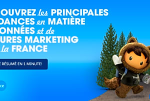 Le guide du marketing Intelligence pour la France
