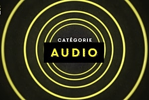 Redécouvrez le palmarès de la catégorie AUDIO 