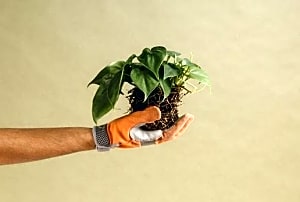 Du service client à la croissance, il n'y a qu'un pas