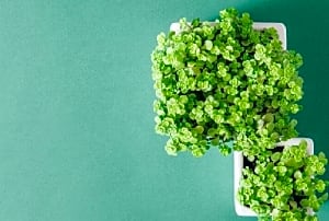 Les 6 raisons pour considérer son service client comme un moteur de croissance