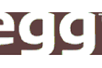 Egg en perte sur les 9 premiers mois de 2004