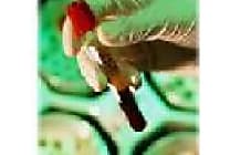 Des spams surfent sur la peur de la grippe aviaire