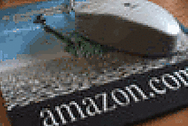 Amazon.com s'inscrit à la baisse, comme prévu