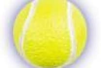 Roland Garros: RFID et Wi-Fi montent au filet