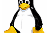 Linux: Oracle s'engage sur la plate-forme 64 bits