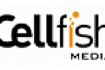 Cellfish Media réunit les filiales mobiles de Lagardère