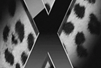 MacOS X serait plus faillible que Vista