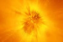 IBM, AMD et Novell adoptent Cheetah (Informix Dynamic Server)