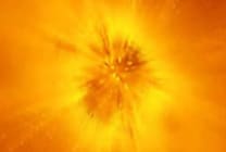 IBM, AMD et Novell adoptent Cheetah (Informix Dynamic Server)
