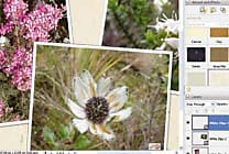 Adobe prépare deux versions de Photoshop CS3