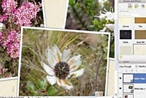 Adobe prépare deux versions de Photoshop CS3
