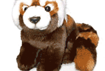 Firefox: six failles de sécurité à mettre à jour