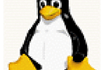 Novell signe un accord pour pousser Linux en Chine