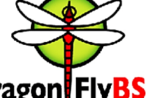 DragonFly BSD adopte un système de fichiers de nouvelle génération