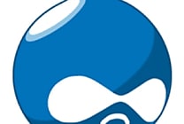 2009, une année charnière pour le CMS open source Drupal ?