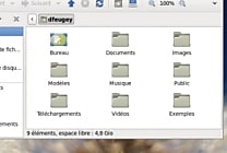 Linux Ubuntu 10.10 (Maverick Meerkat) met l'accent sur le cloud