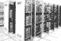 SQL Server : cap sur la Business Intelligence. avec HP