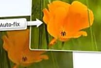 Que va faire Google de Picnik?