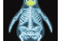 Linux 3.1 joue la carte de la virtualisation et des processeurs  [...]