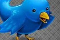 Twitter : un utilisateur sur onze protège son profil en France