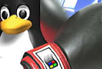 Linux affiche la plus forte progression sur le marché des OS serveurs