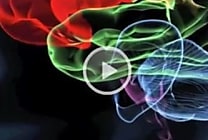 SyNAPSE, la puce d'IBM qui se rapproche du cerveau humain