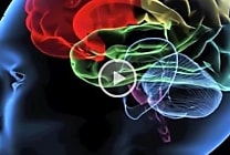 SyNAPSE, la puce d'IBM qui se rapproche du cerveau humain