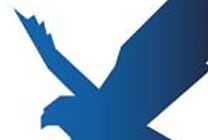 Sécurité en mode Big Data : EMC s'offre Silver Tail