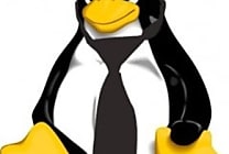 Dossier : Linux s’impose dans le monde des affaires