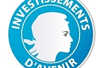 Les Investissements d'avenir s'intéressent au Big Data