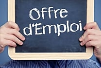 Emploi : 1200 postes chez Steria, 500 chez OVH