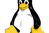 Le système d'exploitation Oracle Linux 6.3 est de sortie