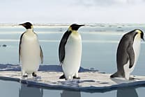 Linux 3.12 : les performances en attendant les économies