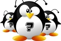 Le kernel Linux 3.10 stable... pour longtemps