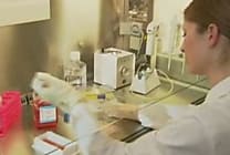 RSE : quand Beiersdorf suscite la co-innovation