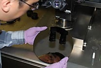 Semiconducteurs : investissements en berne en 2013, reprise en 2014