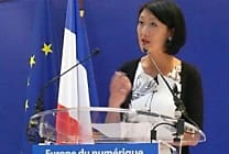 Europe du numérique : Fleur Pellerin lance l'offensive fiscale