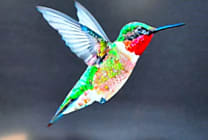 Recherche : Google Hummingbird s'adapte aux requêtes complexes