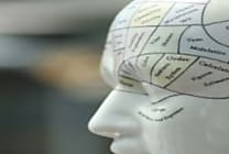 Google recrute des spécialistes de l'intelligence artificielle  [...]