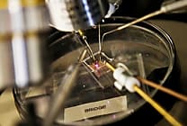 Un transistor plasma résiste aux températures d'un réacteur nucléaire